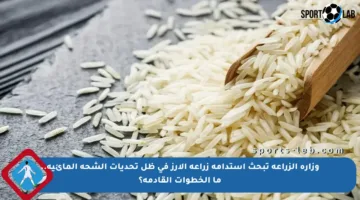 وزارة الزراعة تبحث استدامة زراعة الأرز في ظل تحديات الشحة المائية.. ما الخطوات القادمة؟